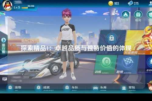 探索精品1：卓越品质与独特价值的体现