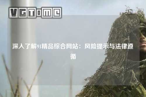 深入了解91精品综合网站：风险提示与法律遵循
